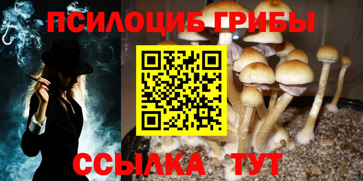 Галлюциногенные грибы прущие грибы Тамбов